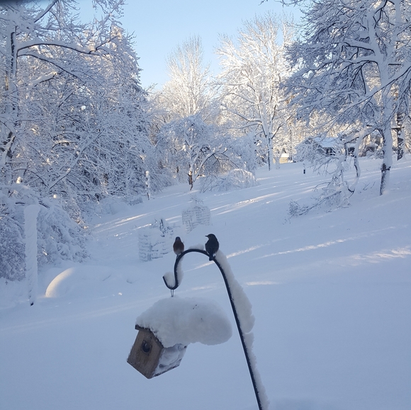 Meet your Posher, Teresa - Picture 13 of 16